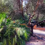 Locazione Turistica Dream House Marzia